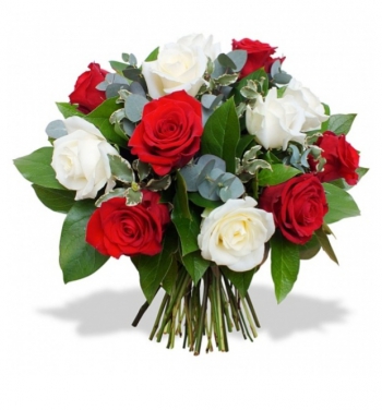 Valentines Day Perla Syria
